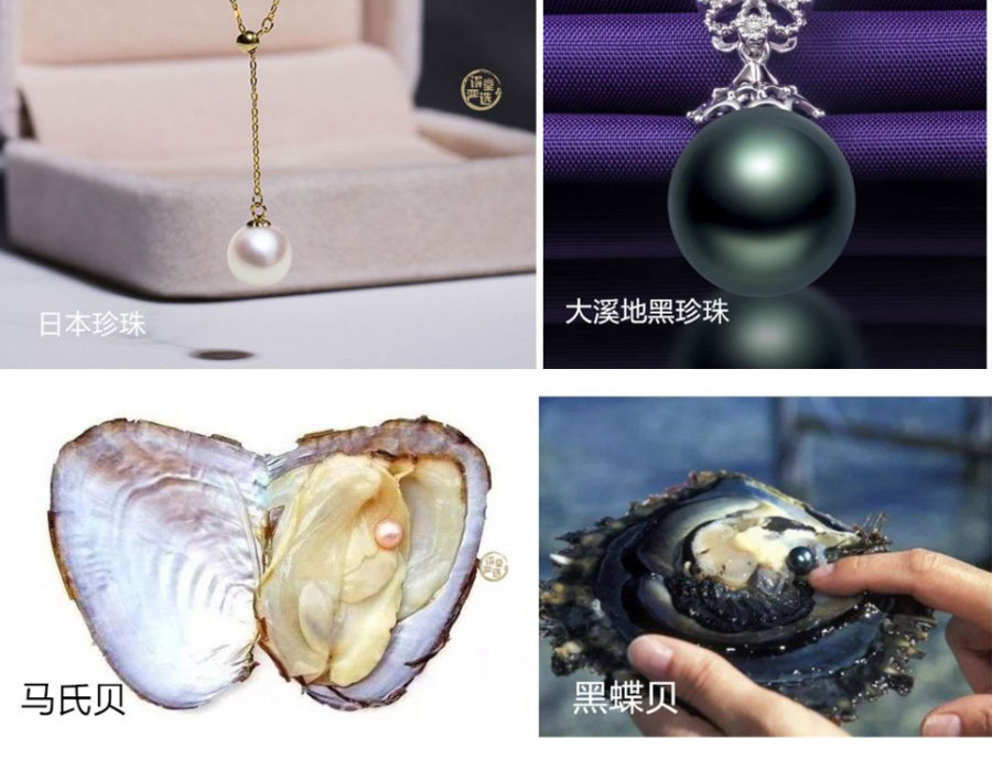 日本珍珠和南阳珍珠的区别
