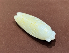 和田玉籽料原石白玉籽料玉蝉挂把件一鸣惊人
